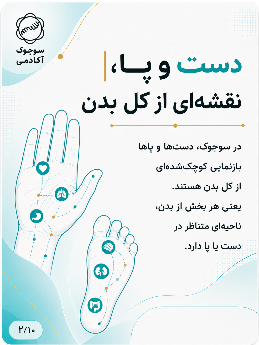 دست و پا نقشه‌ای از کل بدن