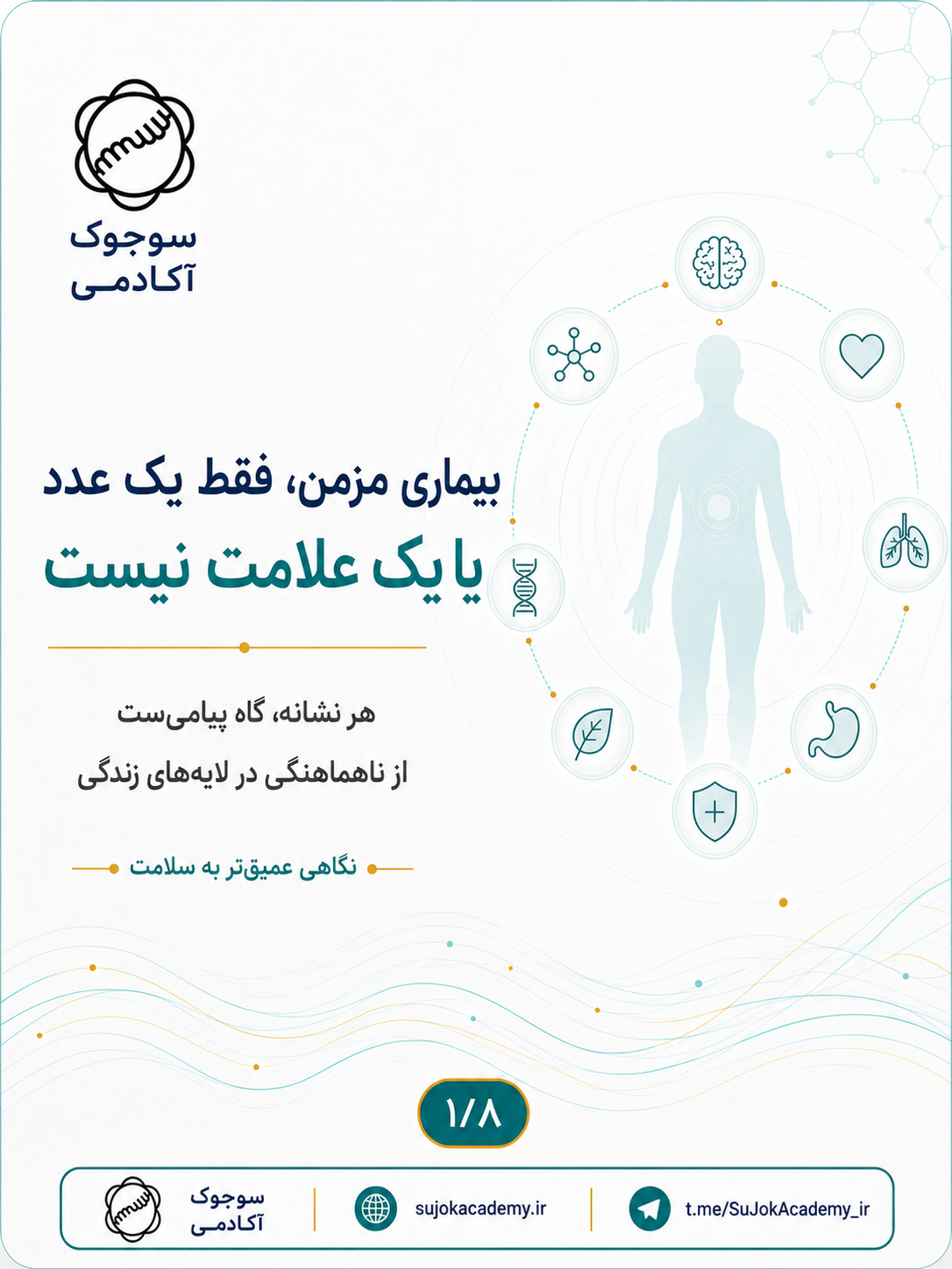 رویکرد کل‌نگر سوجوک در بیماری‌های مزمن